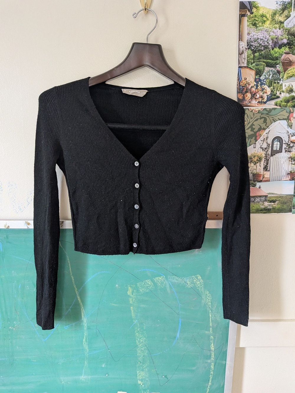 Everlane Black Ribbed Button-Front Cropped Sweater